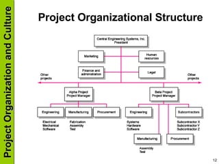 Project Organizational Structure 