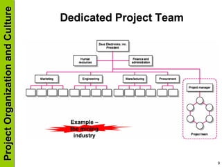 Dedicated Project Team Example – the mining industry 