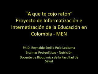“ A que te cojo ratón” Proyecto de Informatización e Internetización de la Educación en Colombia - MEN Ph.D. Reynaldo Emilio Polo Ledezma Enzimas Proteolíticas - Nutrición Docente de Bioquímica de la Facultad de Salud 