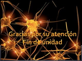 TRAUMATISMO CRANEOENCEFALICO Y SÍNDROME COMATOSO
