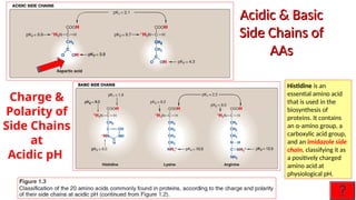 PM3-Biochem-L4_MD1-MBM1-Amino Acids-Biochemistry | PPT