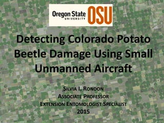 Detecting Colorado Potato
Beetle Damage Using Small
Unmanned Aircraft
SILVIA I. RONDON
ASSOCIATE PROFESSOR
EXTENSION ENTOMOLOGIST SPECIALIST
2015
 