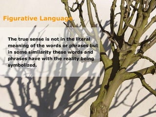 3
Figurative Language
The true sense is not in the literal
meaning of the words or phrases but
in some similarity these words and
phrases have with the reality being
symbolized.
 