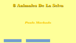 8 Animales De La Selva8 Animales De La Selva
Paulo MachadoPaulo Machado
 