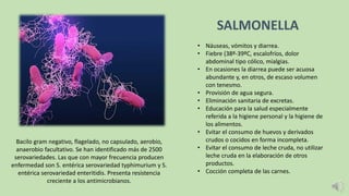 Bacilo gram negativo, flagelado, no capsulado, aerobio,
anaerobio facultativo. Se han identificado más de 2500
serovariedades. Las que con mayor frecuencia producen
enfermedad son S. entérica serovariedad typhimurium y S.
entérica serovariedad enteritidis. Presenta resistencia
creciente a los antimicrobianos.
• Náuseas, vómitos y diarrea.
• Fiebre (38º-39ºC, escalofríos, dolor
abdominal tipo cólico, mialgias.
• En ocasiones la diarrea puede ser acuosa
abundante y, en otros, de escaso volumen
con tenesmo.
• Provisión de agua segura.
• Eliminación sanitaria de excretas.
• Educación para la salud especialmente
referida a la higiene personal y la higiene de
los alimentos.
• Evitar el consumo de huevos y derivados
crudos o cocidos en forma incompleta.
• Evitar el consumo de leche cruda, no utilizar
leche cruda en la elaboración de otros
productos.
• Cocción completa de las carnes.
SALMONELLA
 