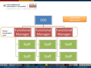 Functional
Organization
CEO
Functional
Manager
Staff
Staff
Functional
Manager
Staff
Staff
Functional
Manager
Staff
Staff
Project
Coordination
Level
 