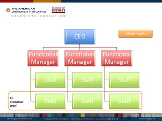 CEO
Functional
Manager
Staff
Staff
Functional
Manager
Staff
Staff
Functional
Manager
Staff
Staff
Weak matrix
Co
ordination
Level
 