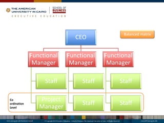 CEO
Functional
Manager
Staff
Project
Manager
Functional
Manager
Staff
Staff
Functional
Manager
Staff
Staff
Balanced matrix
Co
ordination
Level
 