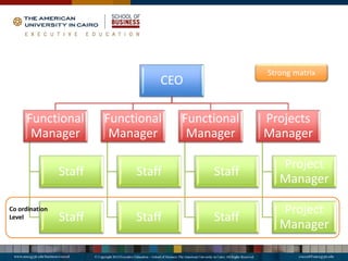 CEO
Functional
Manager
Staff
Staff
Functional
Manager
Staff
Staff
Functional
Manager
Staff
Staff
Projects
Manager
Project
Manager
Project
Manager
Strong matrix
Co ordination
Level
 