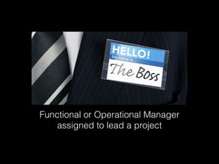 Functional or Operational Manager
assigned to lead a project

 