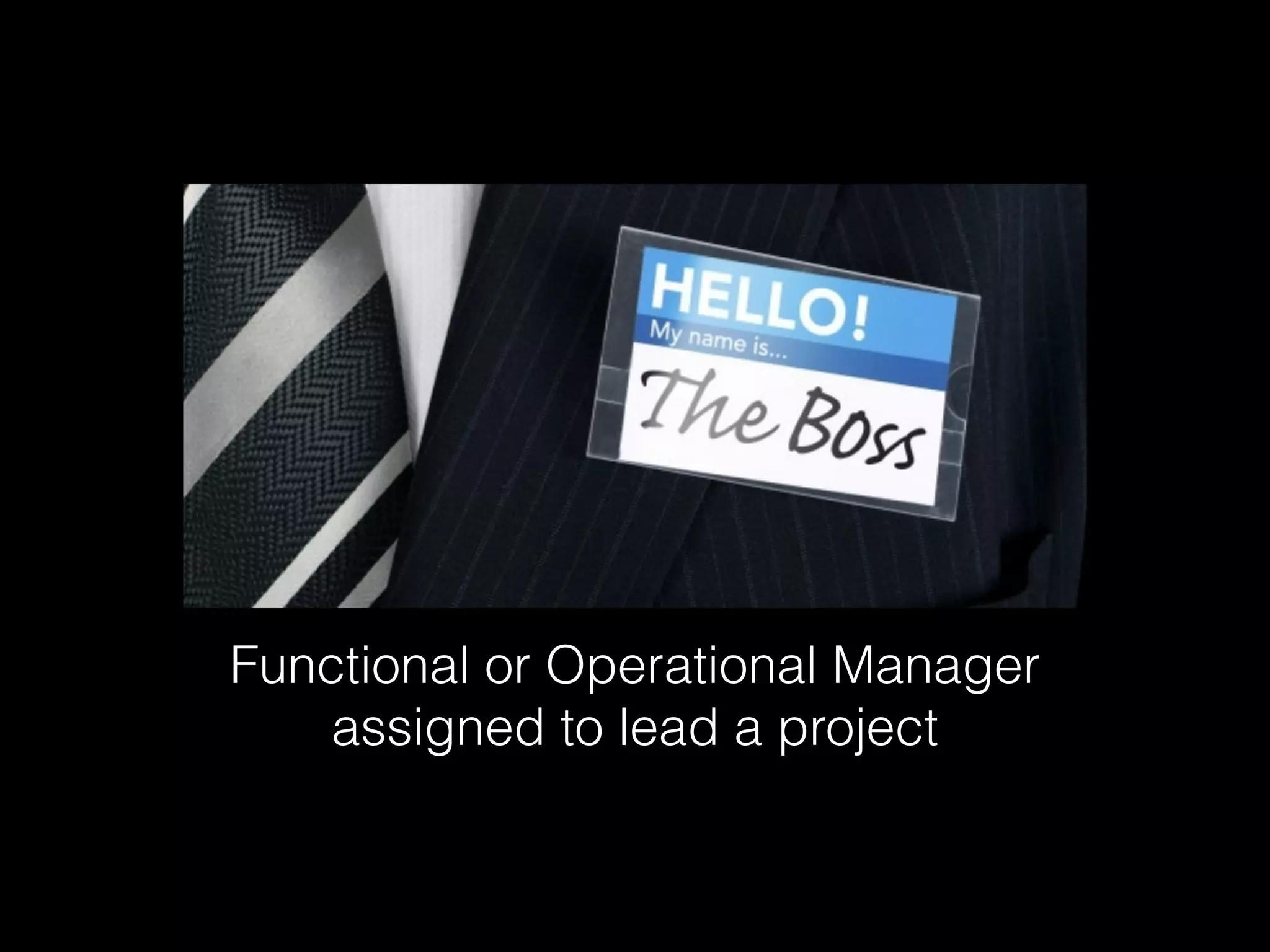 Functional or Operational Manager
assigned to lead a project