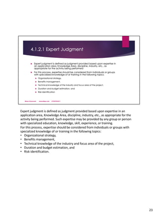 Expert Judgment Risk Technique Pmbok 04 project integration management | PDF