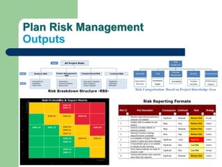 Plan Risk Management
Outputs
 