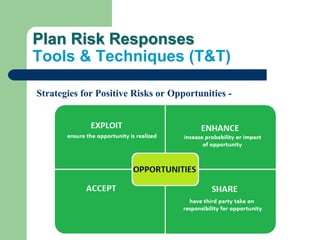 Plan Risk Responses
Tools & Techniques (T&T)
Strategies for Positive Risks or Opportunities -
 