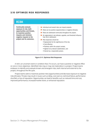 Pmbok Guide Risk PMBOK7_Guide_2021.pdf