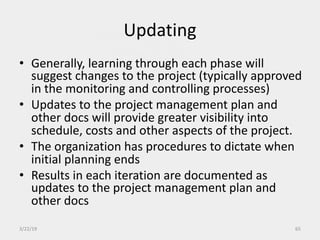 Project Management Body of Knowledge. Chapters 1-3 | PDF