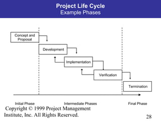 28
Copyright © 1999 Project Management
Institute, Inc. All Rights Reserved.
Project Life Cycle
Example Phases
Concept and
Proposal
Development
Implementation
Termination
Verification
Final PhaseIntermediate PhasesInitial Phase
 