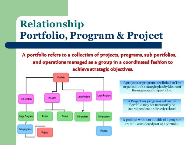 project program and portfolio management pdf