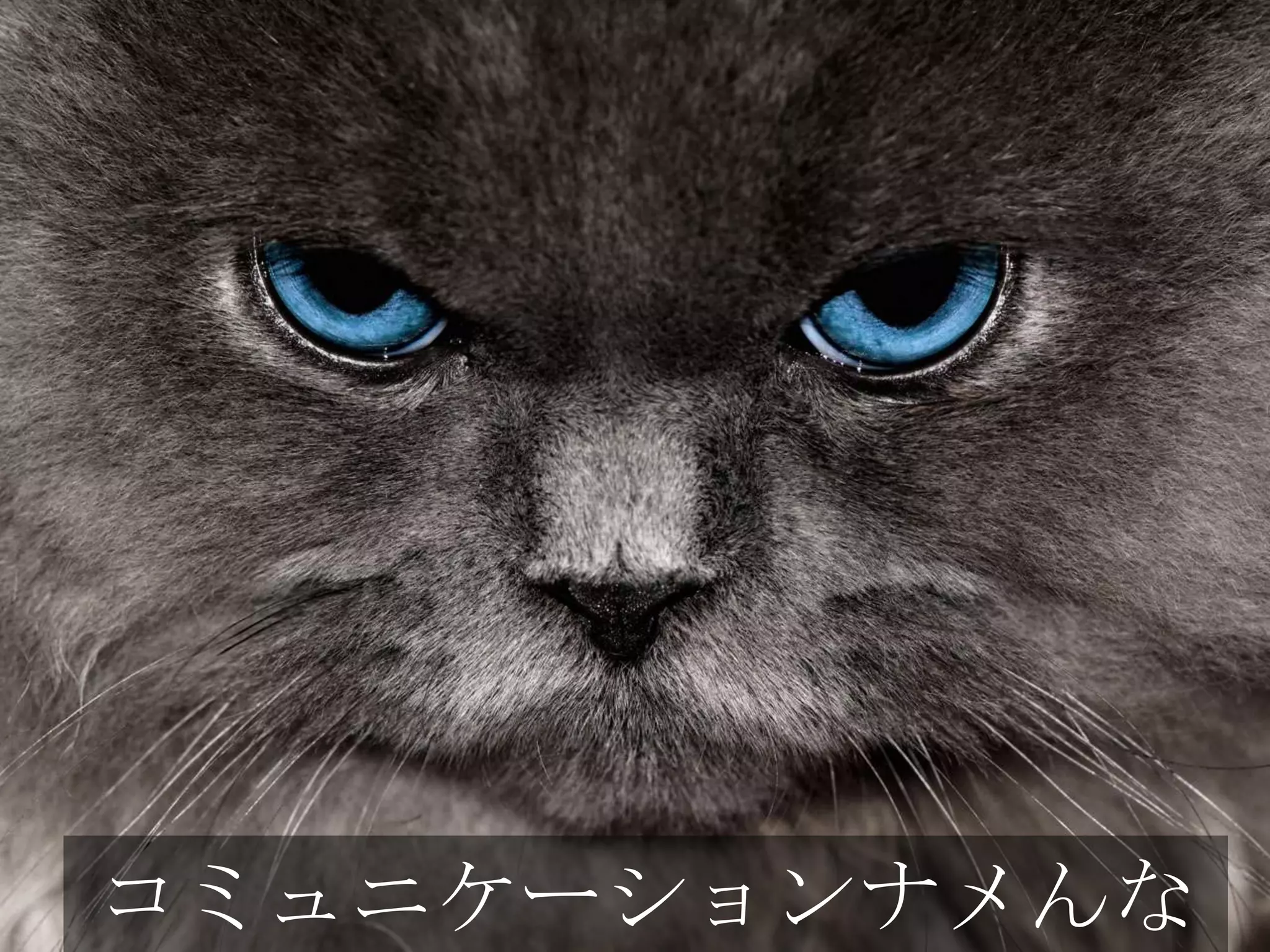 コミュニケーションナメんな