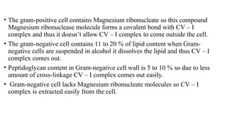 • The gram-positive cell contains Magnesium ribonucleate so this compound
Magnesium ribonuclease molecule forms a covalent bond with CV – I
complex and thus it doesn’t allow CV – I complex to come outside the cell.
• The gram-negative cell contains 11 to 20 % of lipid content when Gram-
negative cells are suspended in alcohol it dissolves the lipid and thus CV – I
complex comes out.
• Peptidoglycan content in Gram-negative cell wall is 5 to 10 % so due to less
amount of cross-linkage CV – I complex comes out easily.
• Gram-negative cell lacks Magnesium ribonucleate molecules so CV – I
complex is extracted easily from the cell.
 