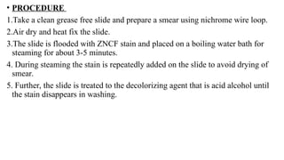 • PROCEDURE
1.Take a clean grease free slide and prepare a smear using nichrome wire loop.
2.Air dry and heat fix the slide.
3.The slide is flooded with ZNCF stain and placed on a boiling water bath for
steaming for about 3-5 minutes.
4. During steaming the stain is repeatedly added on the slide to avoid drying of
smear.
5. Further, the slide is treated to the decolorizing agent that is acid alcohol until
the stain disappears in washing.
 