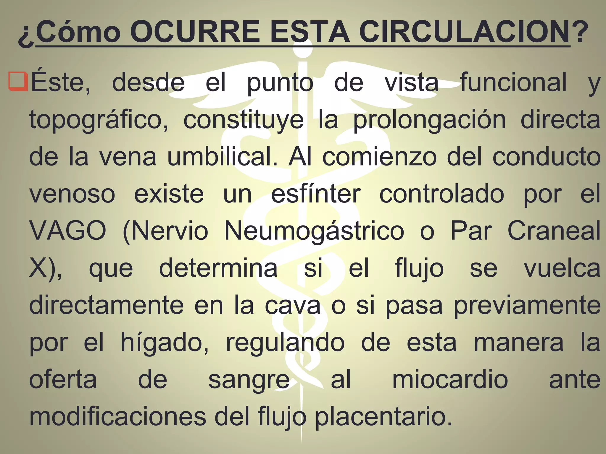 ¿Cómo OCURRE ESTA CIRCULACION?
Éste, desde el punto de vista funcional y
topográfico, constituye la prolongación directa
de la vena umbilical. Al comienzo del conducto
venoso existe un esfínter controlado por el
VAGO (Nervio Neumogástrico o Par Craneal
X), que determina si el flujo se vuelca
directamente en la cava o si pasa previamente
por el hígado, regulando de esta manera la
oferta de sangre al miocardio ante
modificaciones del flujo placentario.
 