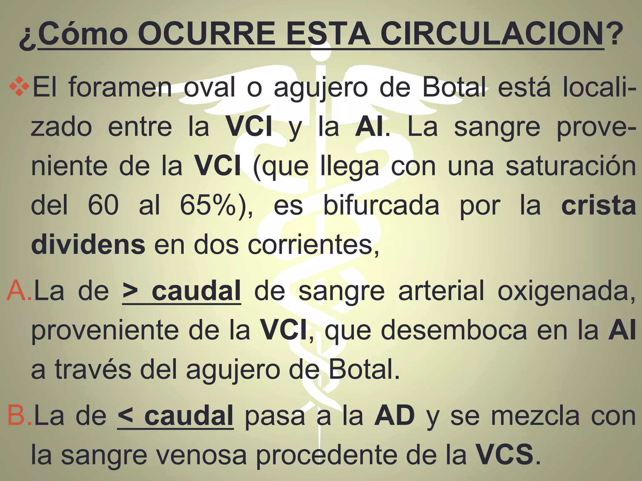 ¿Cómo OCURRE ESTA CIRCULACION?
El foramen oval o agujero de Botal está locali-
zado entre la VCI y la AI. La sangre prove-
niente de la VCI (que llega con una saturación
del 60 al 65%), es bifurcada por la crista
dividens en dos corrientes,
A.La de > caudal de sangre arterial oxigenada,
proveniente de la VCI, que desemboca en la AI
a través del agujero de Botal.
B.La de < caudal pasa a la AD y se mezcla con
la sangre venosa procedente de la VCS.
 