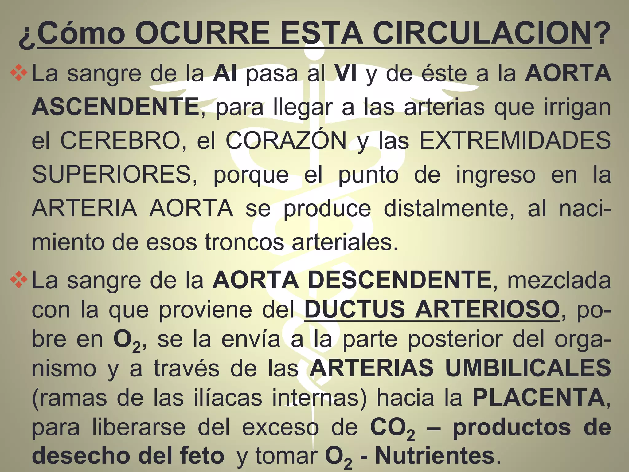 ¿Cómo OCURRE ESTA CIRCULACION?
La sangre de la AI pasa al VI y de éste a la AORTA
ASCENDENTE, para llegar a las arterias que irrigan
el CEREBRO, el CORAZÓN y las EXTREMIDADES
SUPERIORES, porque el punto de ingreso en la
ARTERIA AORTA se produce distalmente, al naci-
miento de esos troncos arteriales.
La sangre de la AORTA DESCENDENTE, mezclada
con la que proviene del DUCTUS ARTERIOSO, po-
bre en O2, se la envía a la parte posterior del orga-
nismo y a través de las ARTERIAS UMBILICALES
(ramas de las ilíacas internas) hacia la PLACENTA,
para liberarse del exceso de CO2 – productos de
desecho del feto y tomar O2 - Nutrientes.
 