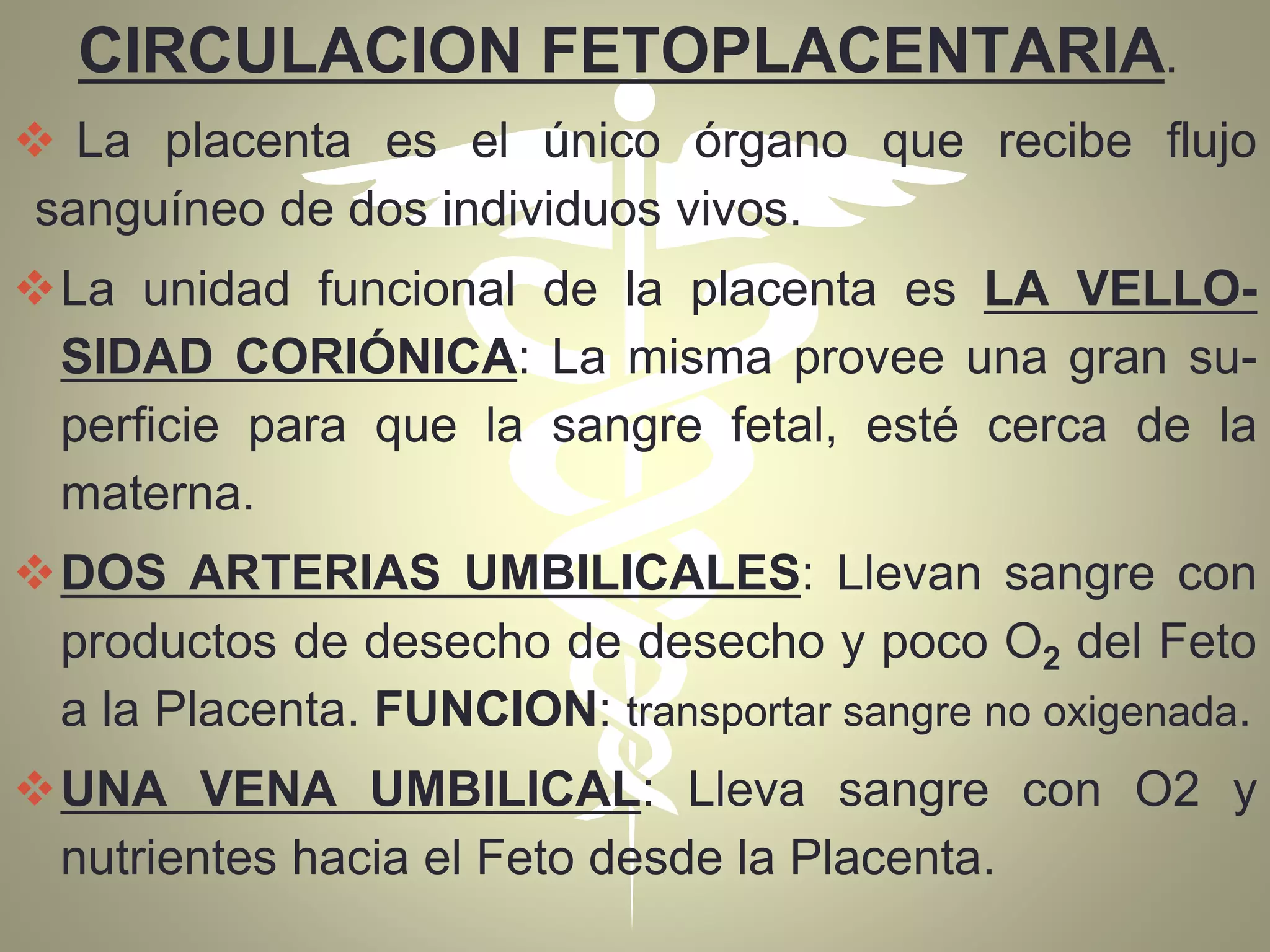 CIRCULACION FETOPLACENTARIA.
 La placenta es el único órgano que recibe flujo
sanguíneo de dos individuos vivos.
La unidad funcional de la placenta es LA VELLO-
SIDAD CORIÓNICA: La misma provee una gran su-
perficie para que la sangre fetal, esté cerca de la
materna.
DOS ARTERIAS UMBILICALES: Llevan sangre con
productos de desecho de desecho y poco O2 del Feto
a la Placenta. FUNCION: transportar sangre no oxigenada.
UNA VENA UMBILICAL: Lleva sangre con O2 y
nutrientes hacia el Feto desde la Placenta.
 
