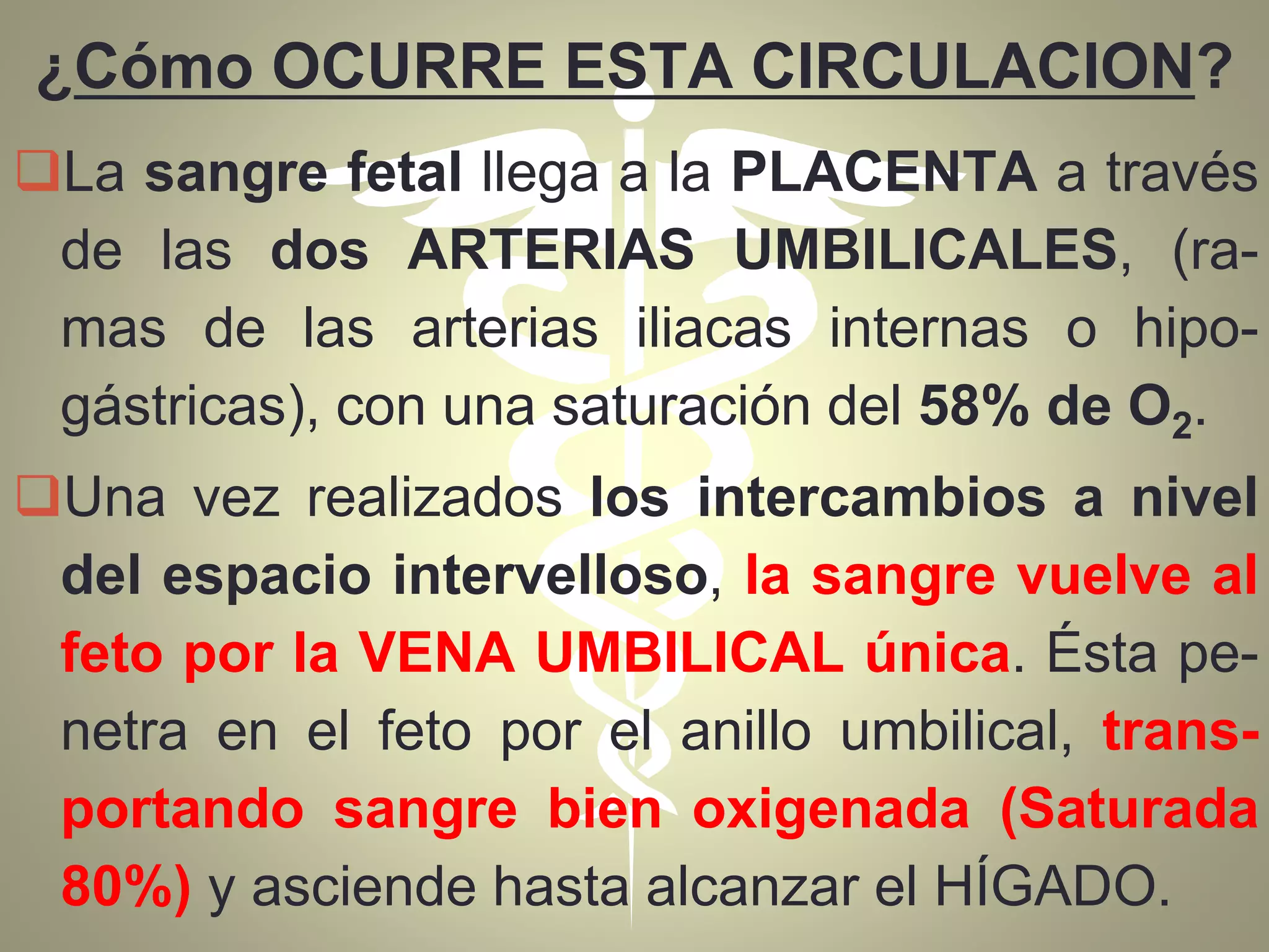 ¿Cómo OCURRE ESTA CIRCULACION?
La sangre fetal llega a la PLACENTA a través
de las dos ARTERIAS UMBILICALES, (ra-
mas de las arterias iliacas internas o hipo-
gástricas), con una saturación del 58% de O2.
Una vez realizados los intercambios a nivel
del espacio intervelloso, la sangre vuelve al
feto por la VENA UMBILICAL única. Ésta pe-
netra en el feto por el anillo umbilical, trans-
portando sangre bien oxigenada (Saturada
80%) y asciende hasta alcanzar el HÍGADO.
 