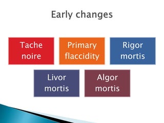 Tache
noire
Primary
flaccidity
Rigor
mortis
Livor
mortis
Algor
mortis
 