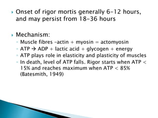  Onset of rigor mortis generally 6-12 hours,
and may persist from 18-36 hours
 Mechanism:
◦ Muscle fibres –actin + myosin = actomyosin
◦ ATP  ADP + lactic acid + glycogen + energy
◦ ATP plays role in elasticity and plasticity of muscles
◦ In death, level of ATP falls. Rigor starts when ATP <
15% and reaches maximum when ATP < 85%
(Batesmith, 1949)
 
