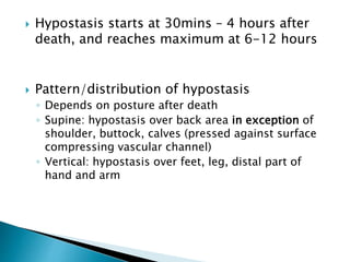  Hypostasis starts at 30mins – 4 hours after
death, and reaches maximum at 6-12 hours
 Pattern/distribution of hypostasis
◦ Depends on posture after death
◦ Supine: hypostasis over back area in exception of
shoulder, buttock, calves (pressed against surface
compressing vascular channel)
◦ Vertical: hypostasis over feet, leg, distal part of
hand and arm
 
