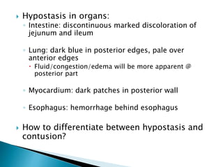  Hypostasis in organs:
◦ Intestine: discontinuous marked discoloration of
jejunum and ileum
◦ Lung: dark blue in posterior edges, pale over
anterior edges
 Fluid/congestion/edema will be more apparent @
posterior part
◦ Myocardium: dark patches in posterior wall
◦ Esophagus: hemorrhage behind esophagus
 How to differentiate between hypostasis and
contusion?
 