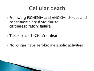  Following ISCHEMIA and ANOXIA, tissues and
constituents are dead due to
cardiorespiratory failure
 Takes place 1-2H after death
 No longer have aerobic metabolic activities
 