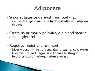  Waxy substance derived from body fat
◦ caused by hydrolysis and hydrogenation of adipose
tissues
 Contains primarily palmitic, oleic and stearic
acid + glycerol
 Requires moist environment
◦ Mostly occur in wet graves, damp vaults, cold water
◦ Clostridium perfringes said to be assisting in
hydrolysis and hydrogenation process
 