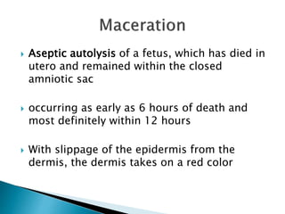  Aseptic autolysis of a fetus, which has died in
utero and remained within the closed
amniotic sac
 occurring as early as 6 hours of death and
most definitely within 12 hours
 With slippage of the epidermis from the
dermis, the dermis takes on a red color
 