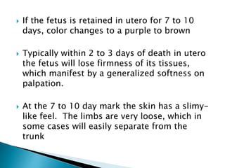  If the fetus is retained in utero for 7 to 10
days, color changes to a purple to brown
 Typically within 2 to 3 days of death in utero
the fetus will lose firmness of its tissues,
which manifest by a generalized softness on
palpation.
 At the 7 to 10 day mark the skin has a slimy-
like feel. The limbs are very loose, which in
some cases will easily separate from the
trunk
 