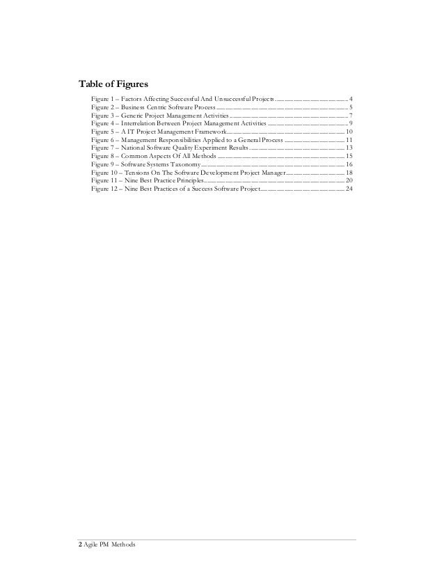 Agile project management term paper