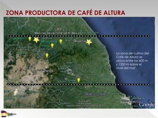 ZONA PRODUCTORA DE CAFÉ DE ALTURA
NEGOCIOS
Atzalan
Hueytamalco
Plan de Arroyos
La zona de cultivo del
Café de Altura se
ubica entre los 600 m
y 1200 m sobre el
nivel del mar
 