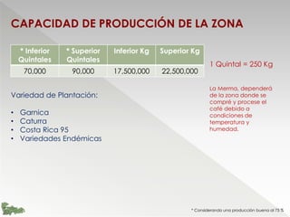CAPACIDAD DE PRODUCCIÓN DE LA ZONA
* Inferior
Quintales
* Superior
Quintales
Inferior Kg Superior Kg
70,000 90,000 17,500,000 22,500,000
* Considerando una producción buena al 75 %
1 Quintal = 250 Kg
La Merma, dependerá
de la zona donde se
compré y procese el
café debido a
condiciones de
temperatura y
humedad.
Variedad de Plantación:
• Garnica
• Caturra
• Costa Rica 95
• Variedades Endémicas
 