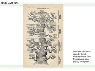 MIND MAPPING




               The Tree of Life as
               seen by Ernst
               Haeckel in the The
               Evolution of Man
               (1879) (Wikipedia).
 