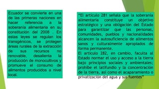 Ecuador se convierte en una
de las primeras naciones en
hacer referencia a la
soberanía alimentaria en su
constitución del 2008 . En
estas leyes se regulan los
transgénicos, se protegen
áreas rurales de la extracción
de sus recursos no
renovable, desalienta la
producción de monocultivos y
promueve el consumo de
alimentos producidos a nivel
local.
“El artículo 281 señala que la soberanía
alimentaria constituye un objetivo
estratégico y una obligación del Estado
para garantizar que las personas,
comunidades, pueblos y nacionalidades
alcancen la autosuficiencia de alimentos
sanos y culturalmente apropiados de
forma permanente.
El artículo 282, en cambio, faculta al
Estado normar el uso y acceso a la tierra
bajo principios sociales y ambientales;
prohíbe el latifundio y la concentración
de la tierra, así como el acaparamiento o
privatización del agua y sus fuentes”
 