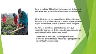 En la actualidad 84% del territorio argentino dedicado al
cultivo de soja pertenecían a las comunidades indígenas
El 30,5% de las tierras concedidas por Chile, Colombia y
Filipinas a las grandes corporaciones extranjeras para la
explotación minera, fueron propiedad de los indígenas.
En Perú, el presidente Ollanta Humala tuvo que
suspender el proyecto de inversión de las minas ante las
protestas del sector indígena de su país
En Brasil en el año 2011, 279 indígenas fueron
asesinados en el estado de Mato Grosso por oponerse a
las grandes transnacionales.
 