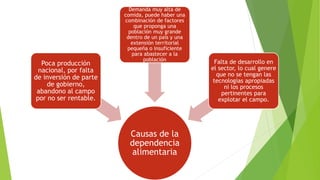 Causas de la
dependencia
alimentaria
Poca producción
nacional, por falta
de inversión de parte
de gobierno,
abandono al campo
por no ser rentable.
Demanda muy alta de
comida, puede haber una
combinación de factores
que proponga una
población muy grande
dentro de un país y una
extensión territorial
pequeña o insuficiente
para abastecer a la
población Falta de desarrollo en
el sector, lo cual genere
que no se tengan las
tecnologías apropiadas
ni los procesos
pertinentes para
explotar el campo.
 