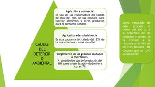 Agricultura comercial
Es una de las responsables del talado
de más del 40% de los bosques para
cultivar alimentos y otros productos
para el consumo humano
Agricultura de subsistencia
Es otra causante del talado del 33% de
la masa boscosa a nivel mundial.
Surgimiento de las grandes ciudades
o metrópolis.
A contribuido con deforestación del
10% sume a esto la actividad minera
con el 7%
Como resultado de
este proceso al
cierre del año 2015
el desarrollo de las
ciudades y países, le
ha costado a la
naturaleza el 46% de
los tres billones de
bosques que se tuvo
inicialmente
CAUSAS
DEL
DETERIOR
O
AMBIENTAL
 
