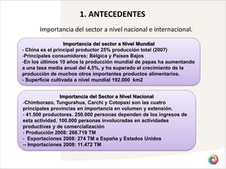 1. ANTECEDENTES
      Importancia del sector a nivel nacional e internacional.

                   Importancia del sector a Nivel Mundial
- China es el principal productor 25% producción total (2007)
-Principales consumidores: Bélgica y Países Bajos
-En los últimos 10 años la producción mundial de papas ha aumentando
a una tasa media anual del 4,5%, y ha superado el crecimiento de la
producción de muchos otros importantes productos alimentarios.
- Superficie cultivada a nivel mundial 192.000 km2


                Importancia del Sector a Nivel Nacional
-Chimborazo, Tungurahua, Carchi y Cotopaxi son las cuatro
principales provincias en importancia en volumen y extensión.
- 41.500 productores. 250.000 personas dependen de los ingresos de
esta actividad. 100.000 personas involucradas en actividades
productivas y de comercialización
- Producción 2008: 266.719 TM
- Exportaciones 2008: 274 TM a España y Estados Unidos
-- Importaciones 2008: 11.472 TM
 