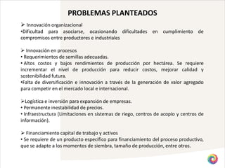 PROBLEMAS PLANTEADOS
 Innovación organizacional
•Dificultad para asociarse, ocasionando dificultades en cumplimiento de
compromisos entre productores e industriales

 Innovación en procesos
• Requerimientos de semillas adecuadas.
• Altos costos y bajos rendimientos de producción por hectárea. Se requiere
incrementar el nivel de producción para reducir costos, mejorar calidad y
sostenibilidad futura.
•Falta de diversificación e innovación a través de la generación de valor agregado
para competir en el mercado local e internacional.

Logística e inversión para expansión de empresas.
• Permanente inestabilidad de precios.
• Infraestructura (Limitaciones en sistemas de riego, centros de acopio y centros de
información).

 Financiamiento capital de trabajo y activos
• Se requiere de un producto especifico para financiamiento del proceso productivo,
que se adapte a los momentos de siembra, tamaño de producción, entre otros.
 