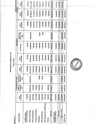 PMC Projects 2010 Annual Report.pdf