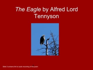 F
The Eagle by Alfred Lord
Tennyson
Slide 3 contains link to audio recording of the poem
 